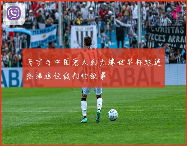 马宁与中国意大利无缘世界杯球迷热捧这位裁判的故事